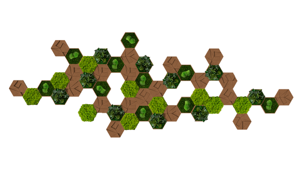 Kork-Hexagon 50er Set