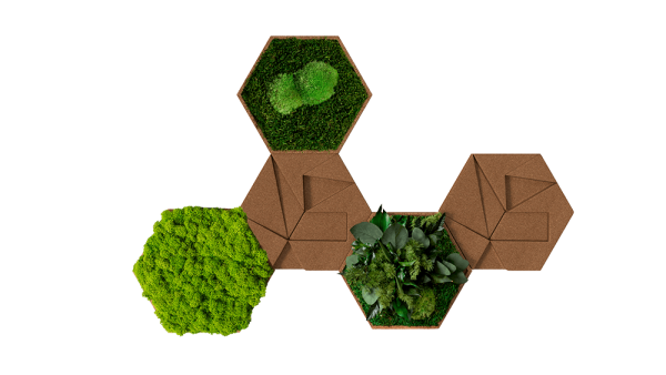 Kork-Hexagon 5er Set