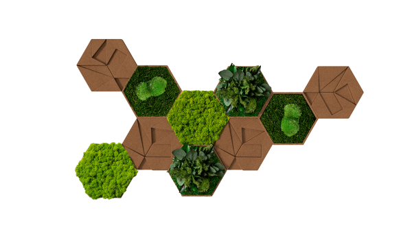 Kork-Hexagon 10er Set