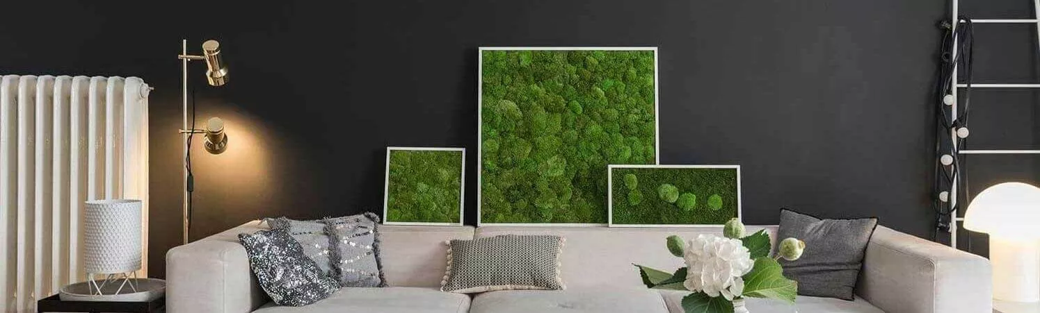 Moosbilder-Pflanzenbilder-Showroomwand-kleinS7wr18JWJFApW