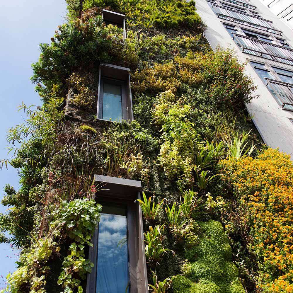 57+ Vertikale Gärten Die Natur In Der Stadt Vertical Gardens, Grüne
