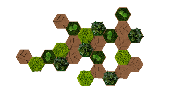 Kork-Hexagon 25er Set