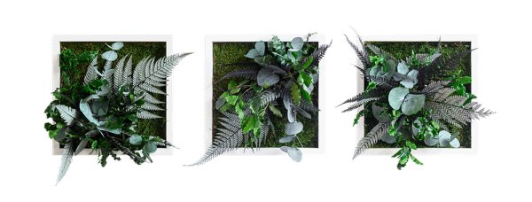 Pflanzenbild im Dschungeldesign 22x22cm 3er Set Vollholz (weiß)