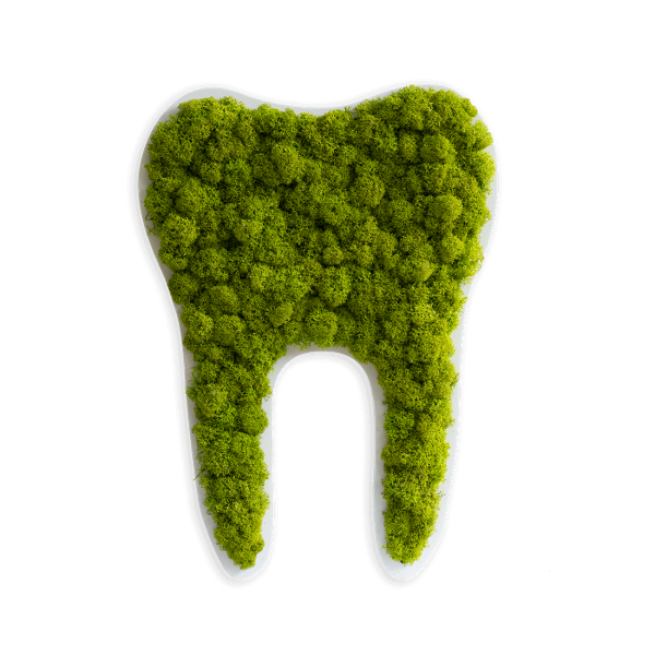 Piktogramm: Zahn klein Islandmoos Maigrün (30cm)