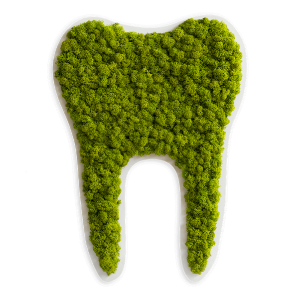 Piktogramm: Zahn groß Islandmoos Maigrün (50cm)