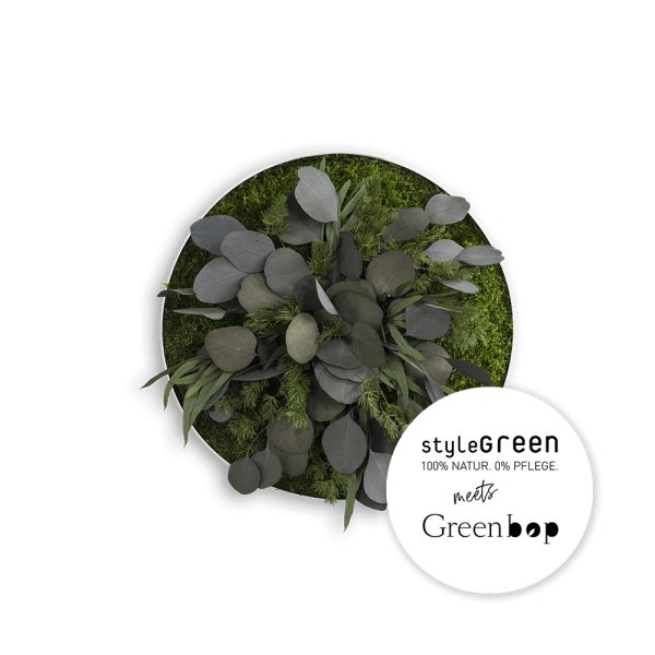 Pflanzenbild: Green Islands LEAFS 34cm