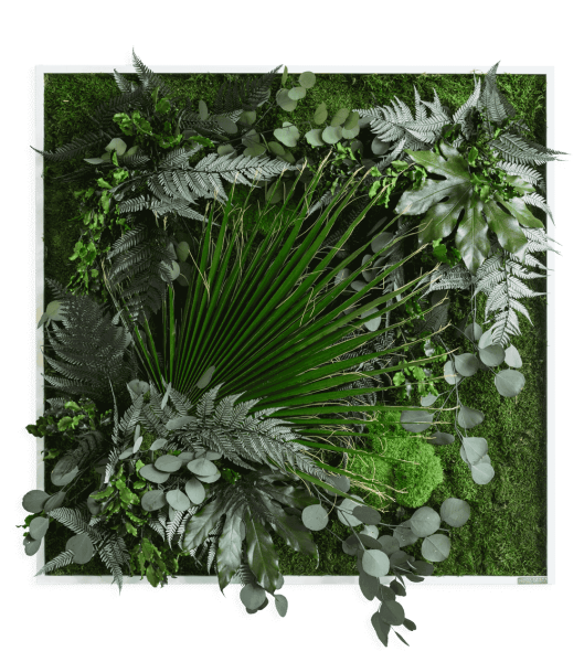 Pflanzenbild im Dschungeldesign 80x80